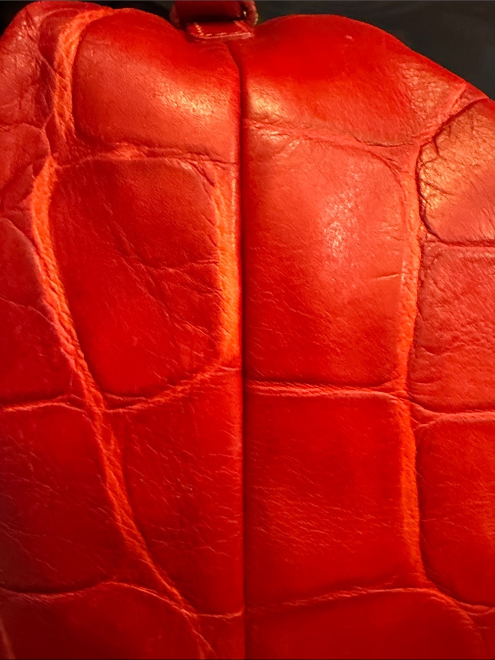 Dooney & Bourke Red Croc-Embossed Leather Shoulder Bag with Gold Hardware - Picture 4 of 14